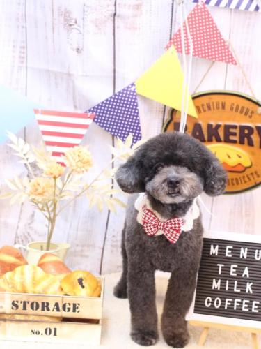 20240924コタロウくん